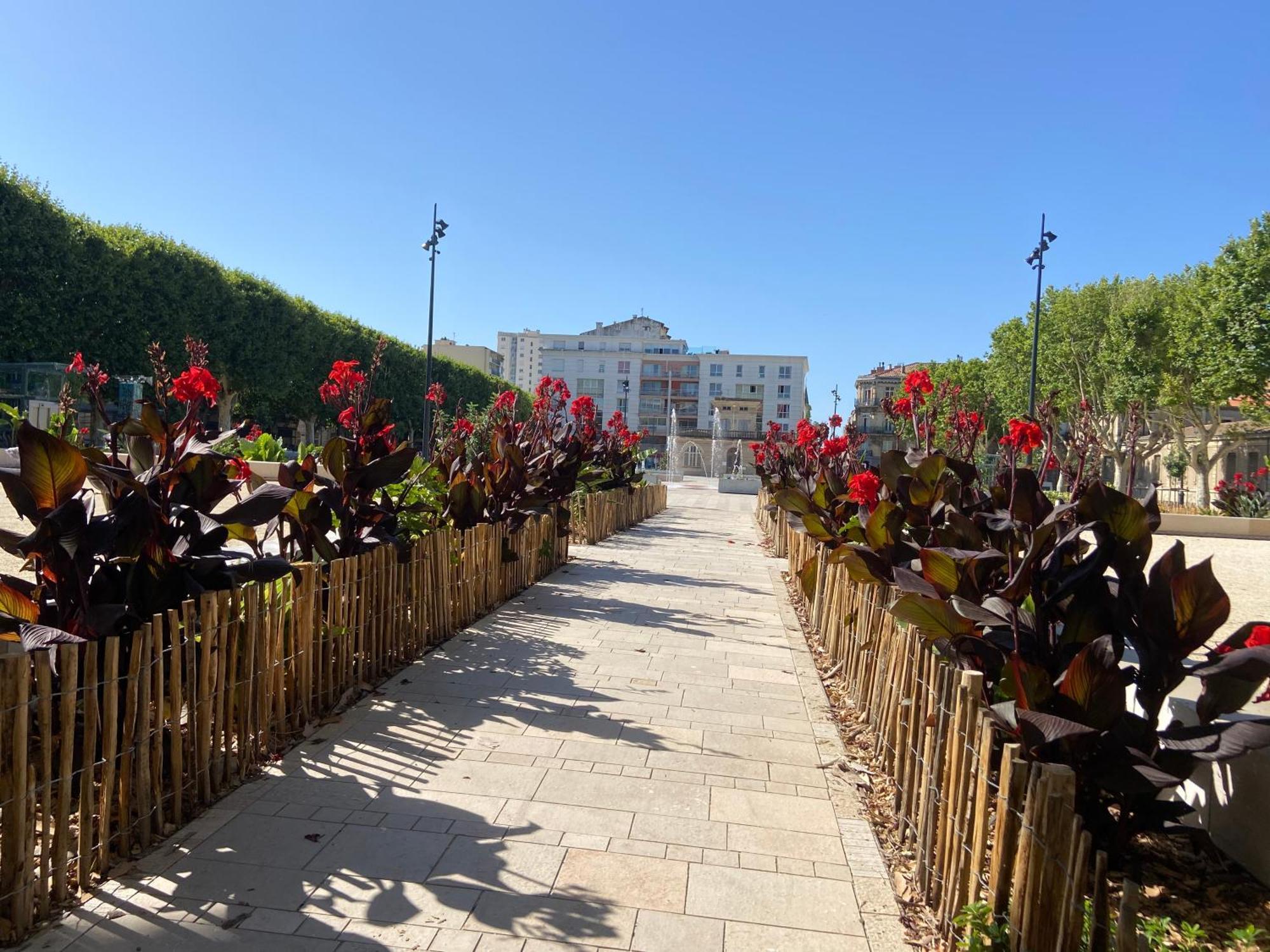 Charmant Appartement Central Terrasse Proche Gare Sète Zewnętrze zdjęcie